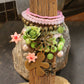 Color Explosion Summer Breeze Flower Charm'd Bracelet Set